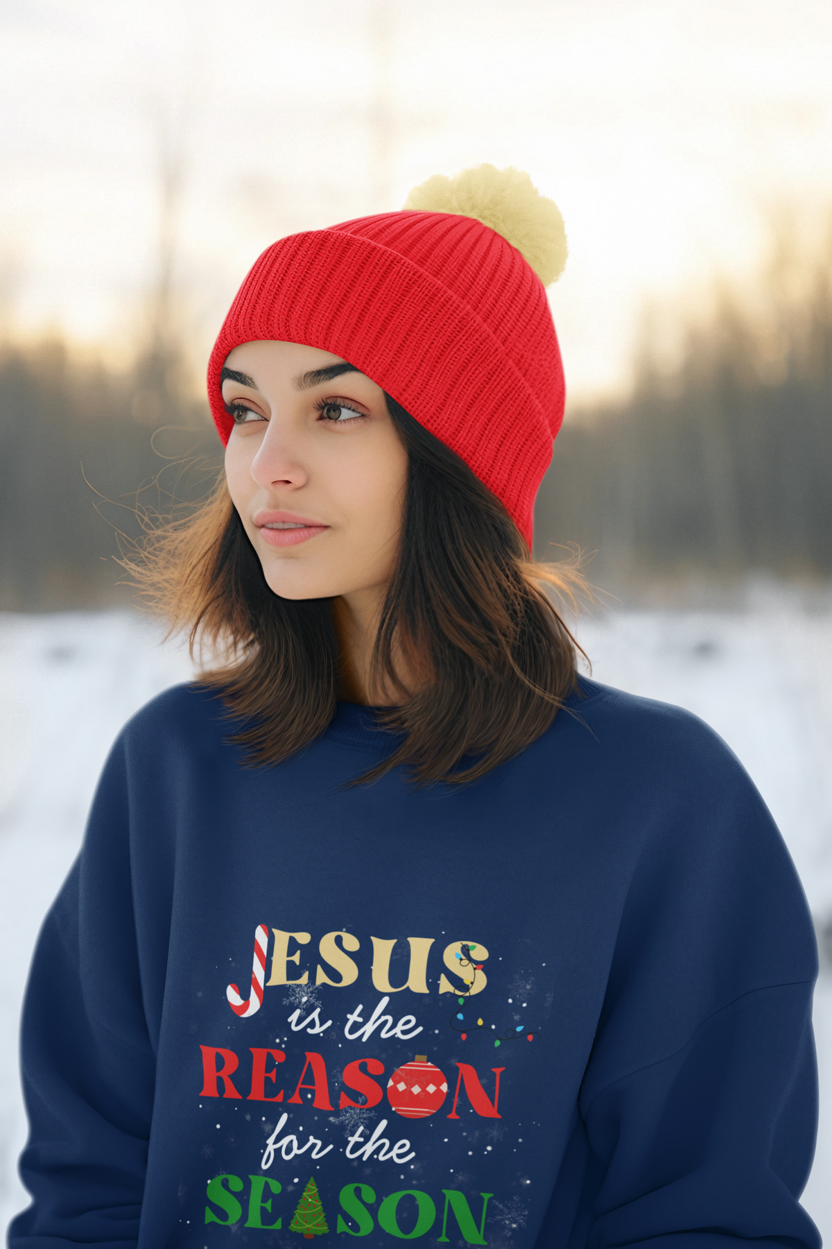 Jesus Is the Reason Sweatshirt